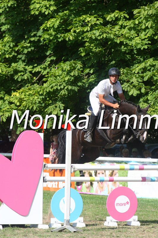 308M3702__Springpferde M.JPG